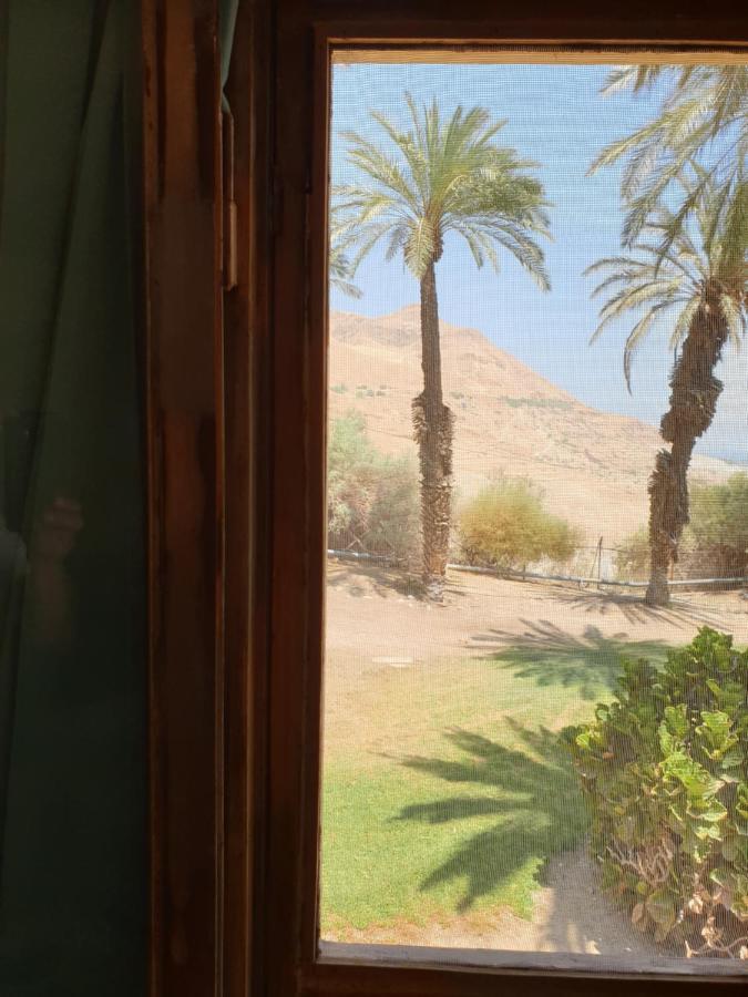 הצימר של יהושע Ein Gedi Exterior photo